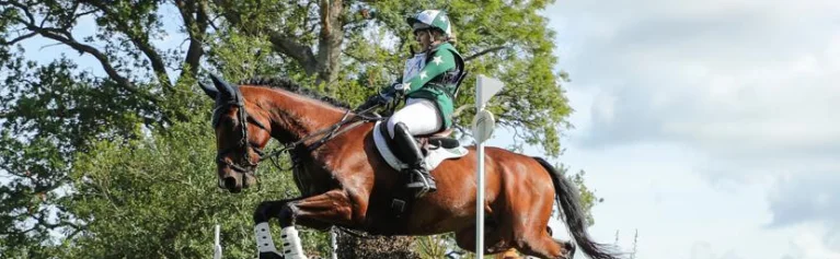 Lily Sweet Eventing - About